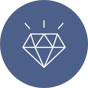 Icone carousel - expérience terrain